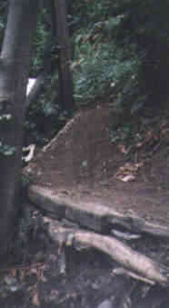 Finish it up with lots of dirt from the upslope and pack
down well. Try to grade so it'll shed water.